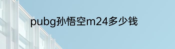 pubg孙悟空m24多少钱
