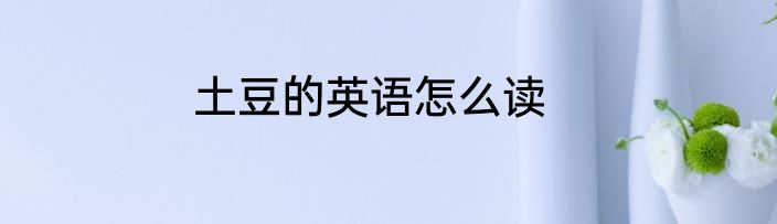 土豆的英语怎么读