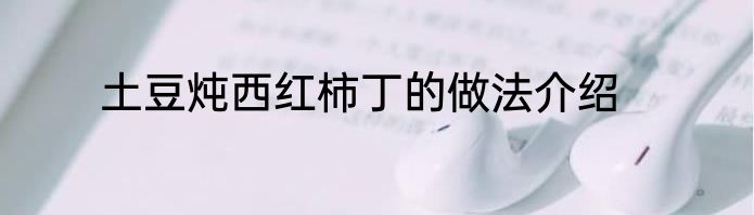 土豆炖西红柿丁的做法介绍