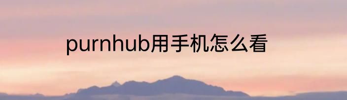 purnhub用手机怎么看