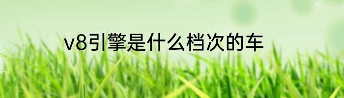 v8引擎是什么档次的车