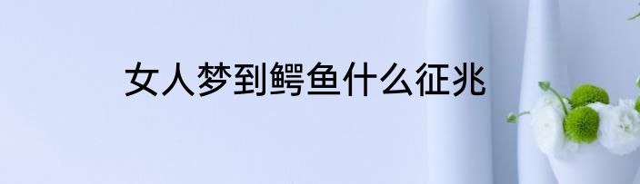 女人梦到鳄鱼什么征兆
