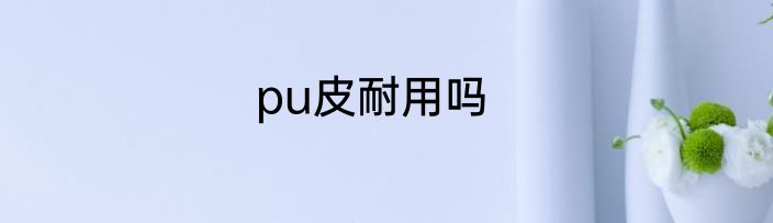 pu皮耐用吗