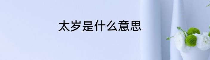 太岁是什么意思