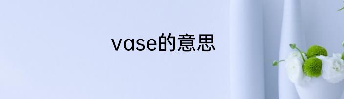 vase的意思