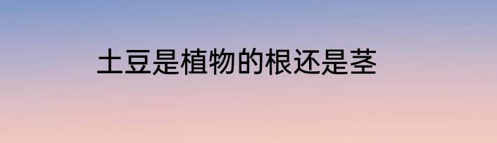 土豆是植物的根还是茎