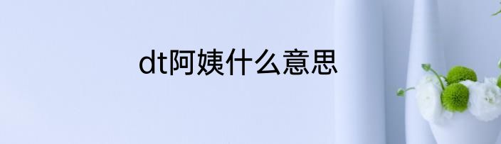 dt阿姨什么意思
