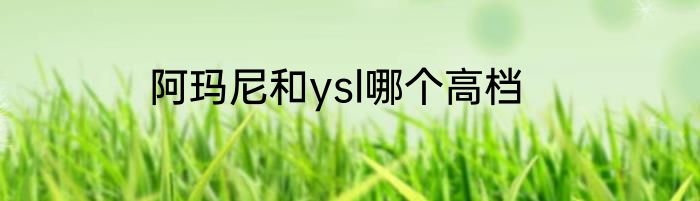 阿玛尼和ysl哪个高档