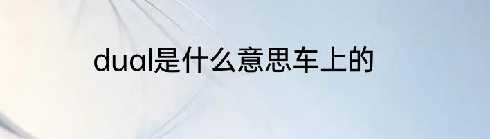 dual是什么意思车上的