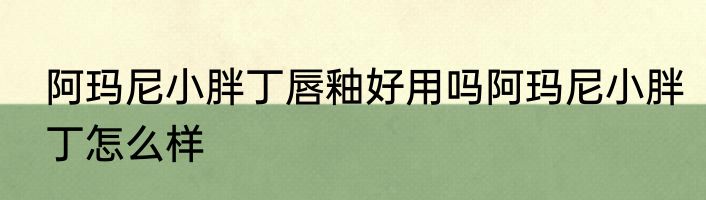 阿玛尼小胖丁唇釉好用吗阿玛尼小胖丁怎么样