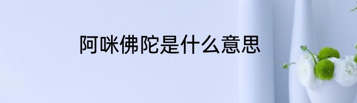 阿咪佛陀是什么意思