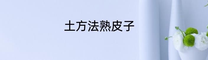 土方法熟皮子