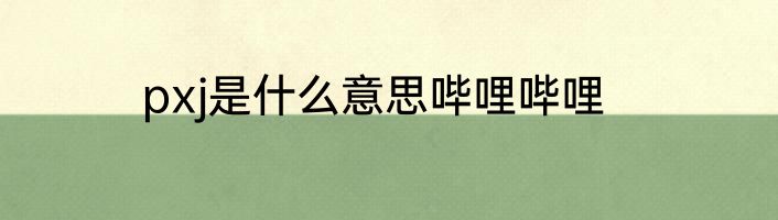 pxj是什么意思哔哩哔哩