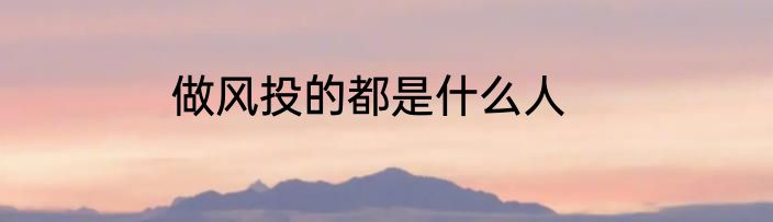 做风投的都是什么人