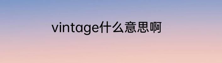 vintage什么意思啊