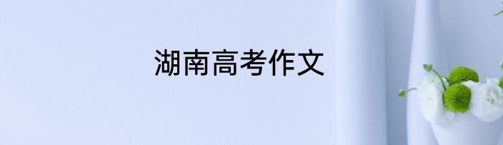 湖南高考作文
