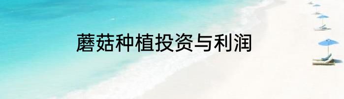 蘑菇种植投资与利润
