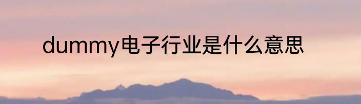 dummy电子行业是什么意思