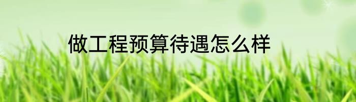 做工程预算待遇怎么样