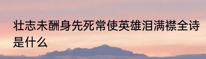 壮志未酬身先死常使英雄泪满襟全诗是什么