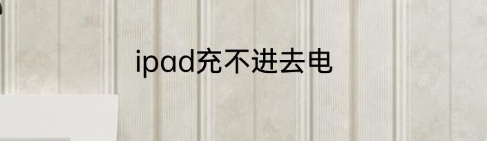 ipad充不进去电