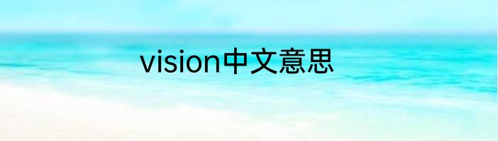 vision中文意思