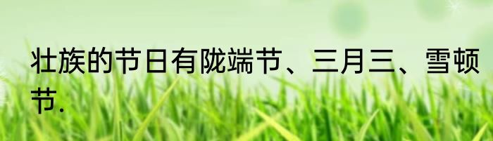 壮族的节日有陇端节、三月三、雪顿节.