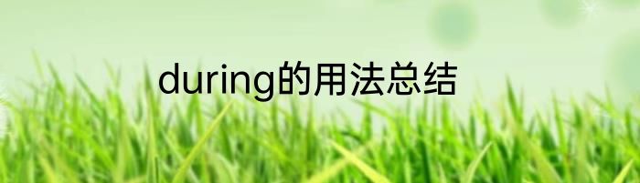 during的用法总结