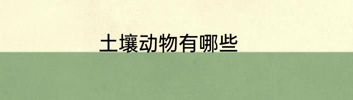 土壤动物有哪些