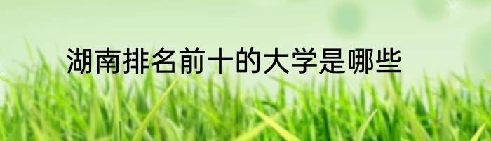 湖南排名前十的大学是哪些