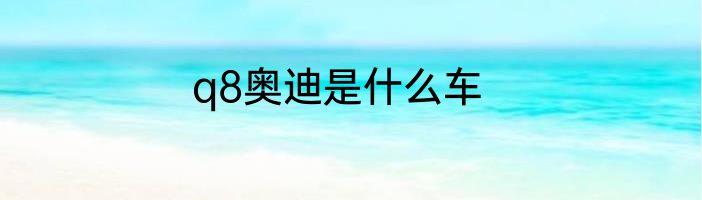 q8奥迪是什么车