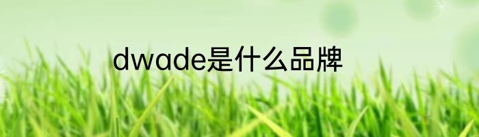 dwade是什么品牌