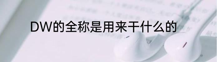 DW的全称是用来干什么的