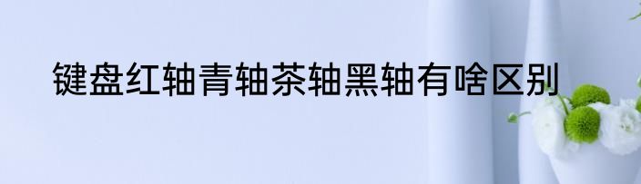 键盘红轴青轴茶轴黑轴有啥区别