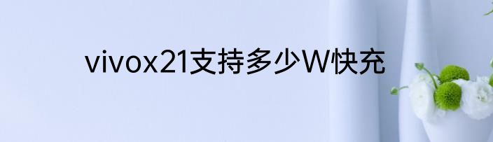 vivox21支持多少W快充