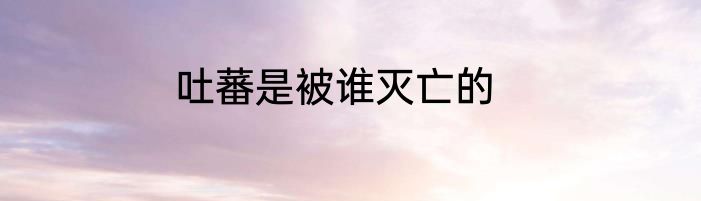 吐蕃是被谁灭亡的