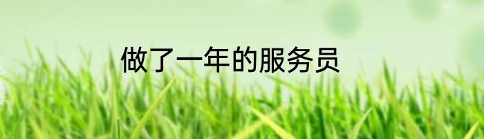 做了一年的服务员