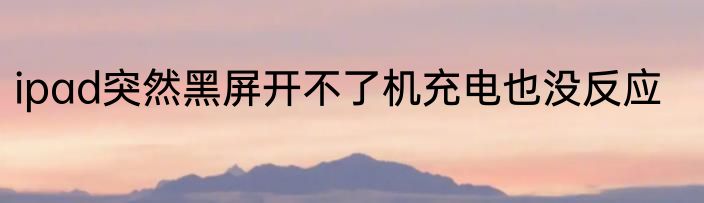 ipad突然黑屏开不了机充电也没反应