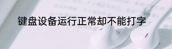 键盘设备运行正常却不能打字