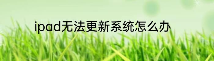 ipad无法更新系统怎么办