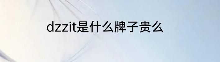 dzzit是什么牌子贵么