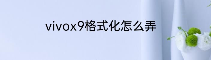 vivox9格式化怎么弄