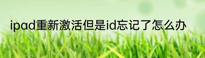 ipad重新激活但是id忘记了怎么办