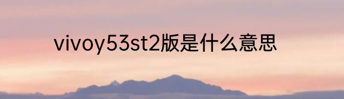 vivoy53st2版是什么意思
