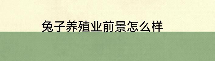 兔子养殖业前景怎么样