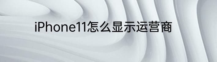 iPhone11怎么显示运营商