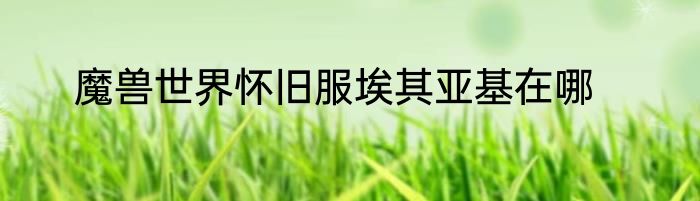 魔兽世界怀旧服埃其亚基在哪