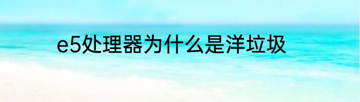 e5处理器为什么是洋垃圾