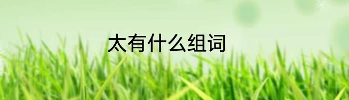 太有什么组词