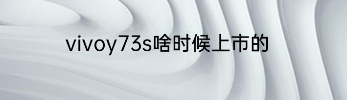 vivoy73s啥时候上市的